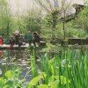 children near pond1